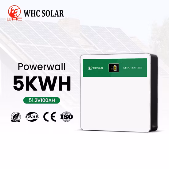 Rechargeable Lithium Battery Pack 51.2V 48V 100ah 150ah 200ah 300ah Li-ion/ Lithium Ion LiFePO4 Rack Battery for UPS Home Solar Energy Storage System Powerwall
