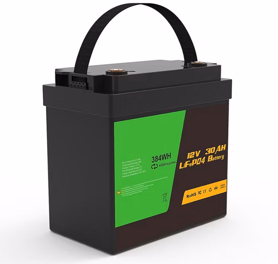 12V 24V Lithium Battery 100ah 200ah 300ah 50ah 12V/24V LiFePO4 Battery for Solar Factory Price