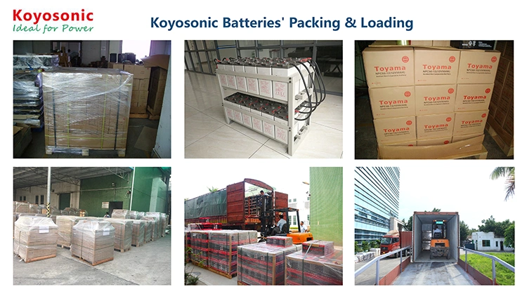 Solar Battery All Kinds AGM Gel LiFePO4 with Wholesale Price