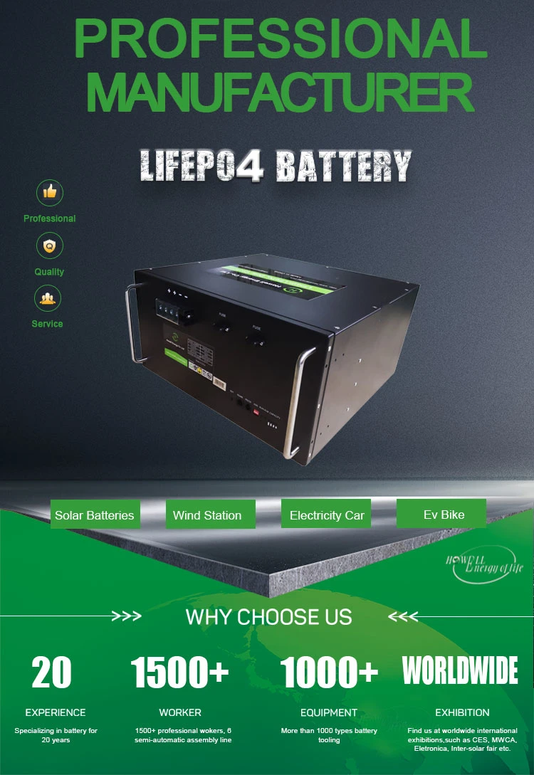 Deep Cycle 48V 50ah LiFePO4 Battery Pack Lithium Battery with BMS Solar System for Solar Wind Energy Storage Solar System Telecom UPS Electric Bicycle Scooter