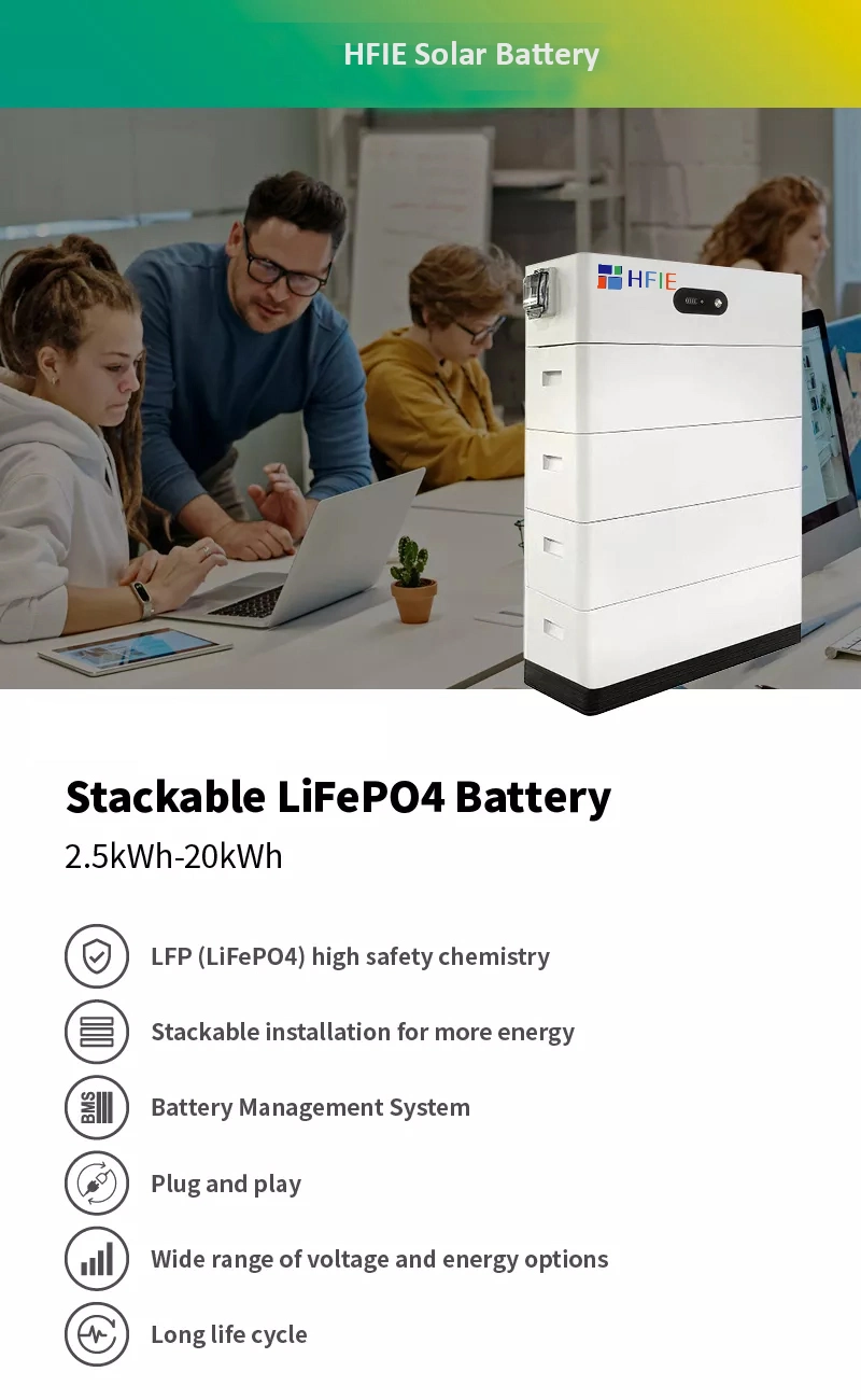 Good Price Hfie Manufacture 48.2V 52ah Battery Management System Ess Lithium Iron Phosphate Battery Residential Energy Storage for Solar System