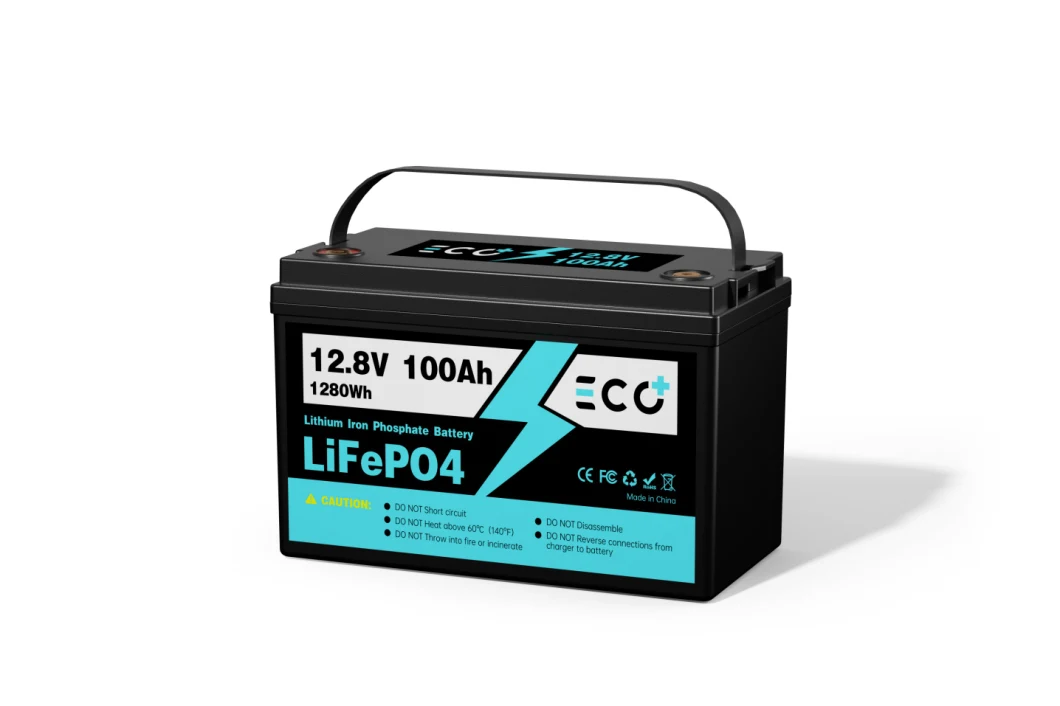 12V 100ah Rechargeable Deep Cycle 24V LiFePO4 Lithium Iron Phosphate Battery Built-in 100A BMS for Marine