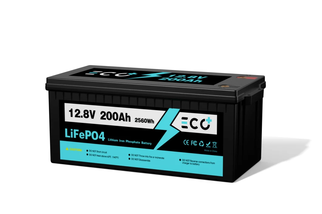 12V 100ah Rechargeable Deep Cycle 24V LiFePO4 Lithium Iron Phosphate Battery Built-in 100A BMS for Marine