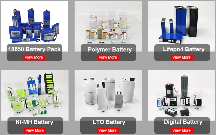 Customized Capacity DIY Battery Pack 18650 3.7V 7.4V 11.1V 12V 24V 36V 48V Lithium Battery Pack Lion Battery for Solar Tracker