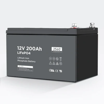2153 OEM Battery Lithium 12V 200ah Rechargeable LiFePO4 Battery Pack with Bluetooth