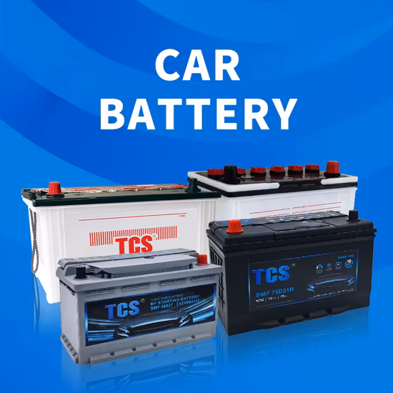TCS Practical Dry Charged Car Battery for Most Cars 67043
