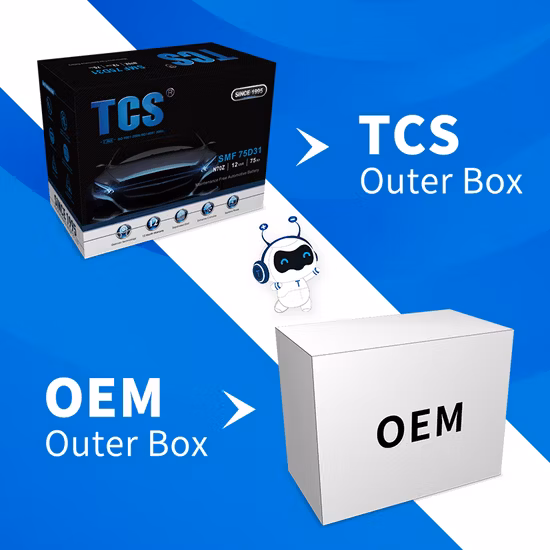 TCS Dry charged car battery DRY 48D26R